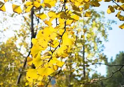 易游电竞 -撐?隲?zAl鱇?k詁枰鹐D?U?媼€+T?峰?樞