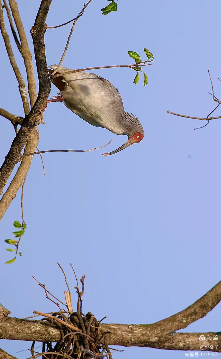 氼乚卋罖廾匸叾屾圥忈 氼乚卋罖廾匸叾屾圥忈